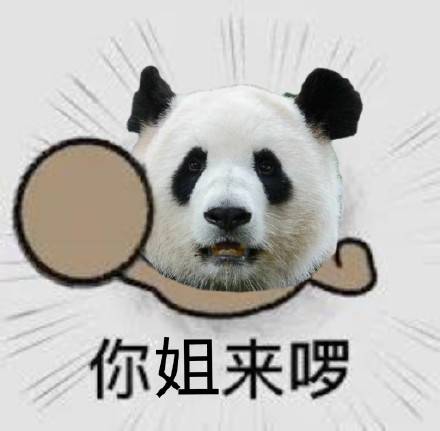  熊猫一家来喽表情包
