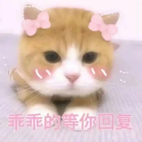  话说非凡搭档的时候魏晨为什么突然退出啊