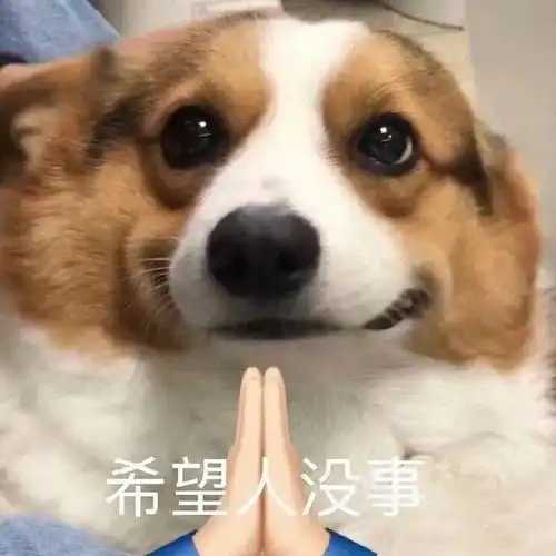  骗子翻车现场,这业务水平不行啊
