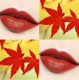  口红选择对才能有好气色,素颜口红大盘点,不妨收藏起来吧