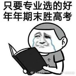  扯扯老空你是学什么专业的,现在又是做什么的