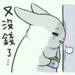  这兔子叫什么名字