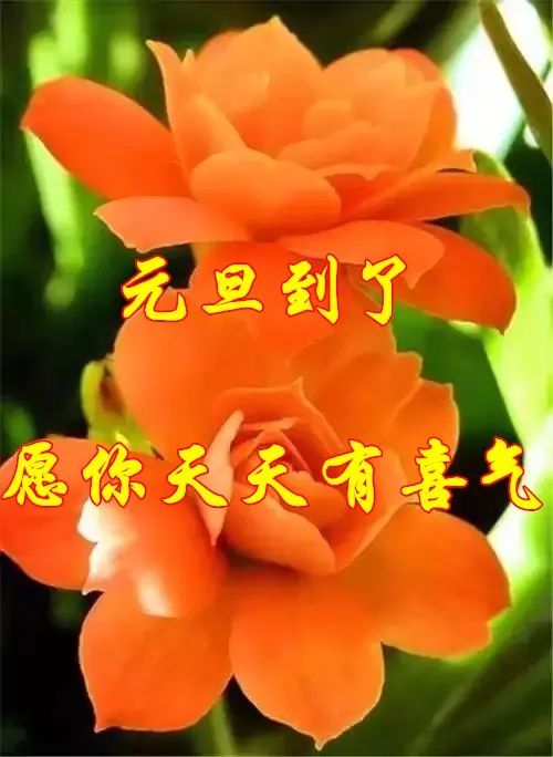 微信头像用什么最好最吉