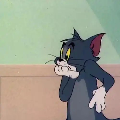 一只白猫旁边一个问号的