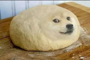 抖腿的表情包doge