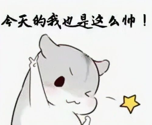  超超可爱的小仓鼠表情包,快去把你家男朋友喊过来看看