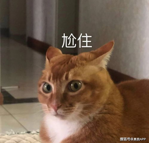  口罩摇身一变竟成了颜值神器但是,口罩戴久了真的容易长痘吗