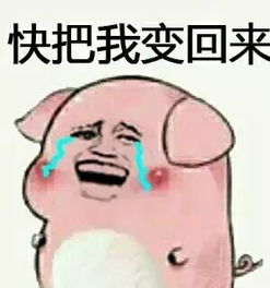  丑萌高攻岩晶蜂可爱全能土元素精灵