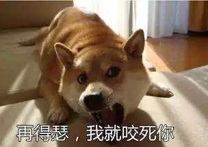  ︿这份表情包已寄往天堂︿