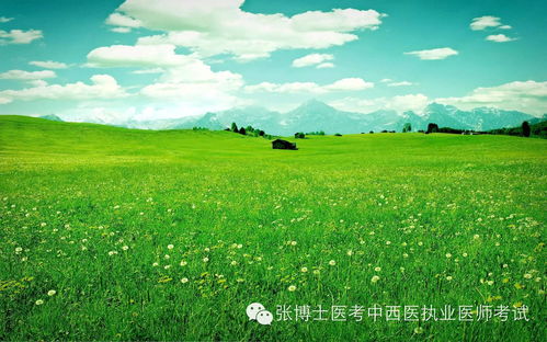  中医妙方治疗失眠太有效了
