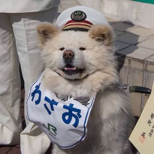  分手前毫无预兆的五大星座,摩羯从不通知你