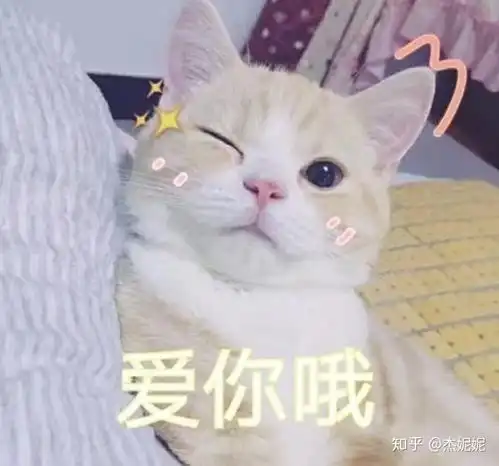  纯流量卡哪些是正规好用的
