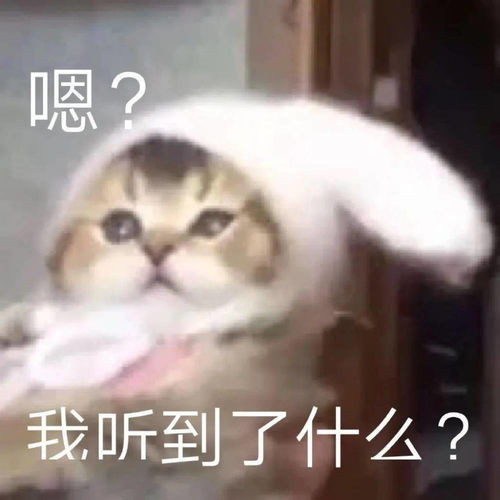  万物皆可谐音梗,这届网友的脑洞也太大了哈哈哈