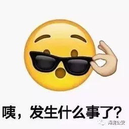  街头诈骗丨在海淀地界,没跑