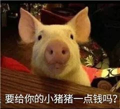  表情包月底没钱了,行行好吧