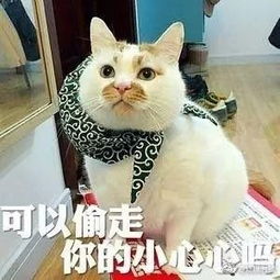  易烊千玺调低发光人气反超王源王俊凯独家揭秘其中内幕