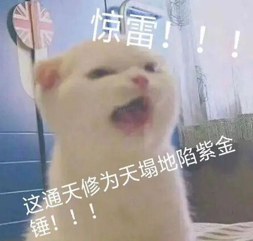  有没有里面藏着字的表情包