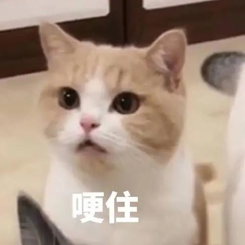  上海静音车厢上热搜合肥地铁够安静吗