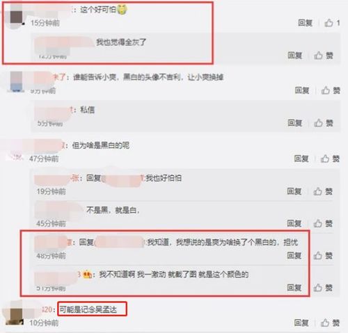  张恒气急败坏,郑爽状态堪忧,换成黑白头像,周围还有枯萎的鲜花