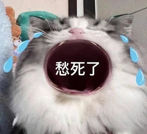  笑话十条我脸被半岁的女儿抓伤了,老婆频频催我上医院