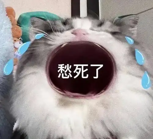大嘴猫猫表情包无文字