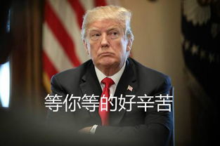  世界表情包日用表情包趣说普特会