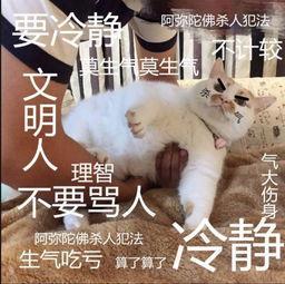 草莓酱表情包莫生气