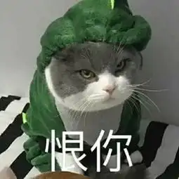 真惨表情包闭嘴