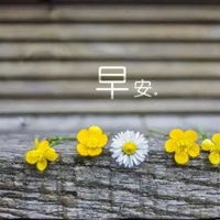  清新的早晨风景图片早上好唯美清新风景图片