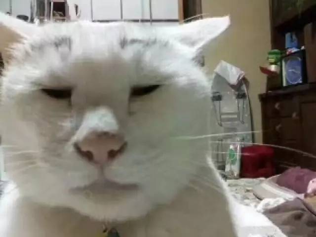  太丑了呃我受到了攻击