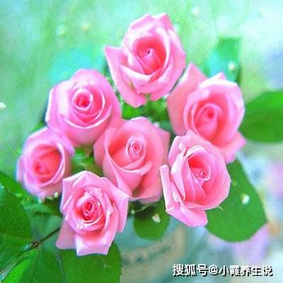  后代最有出息,生日尾数是几的人,一生福寿齐全,活到老富到老农历爱情财运