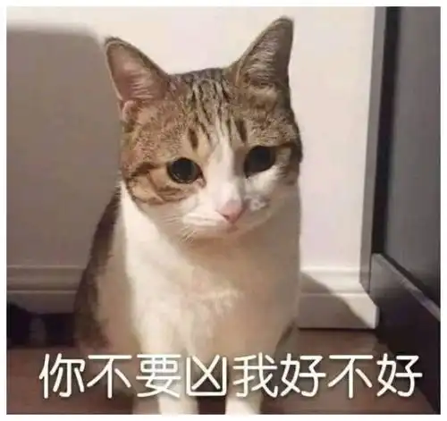  开心一刻你不要凶我好不好,我这么可爱