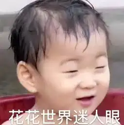  宋民国表情包肥肥胖胖没有烦恼
