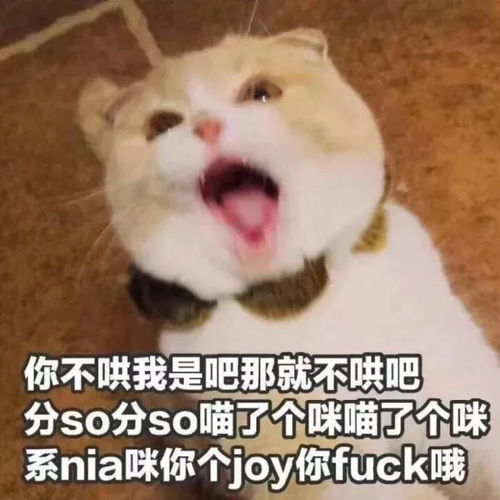  我已经猜透了你的小心思