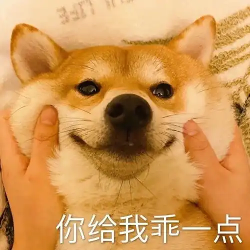 真惨表情包蜡笔小新