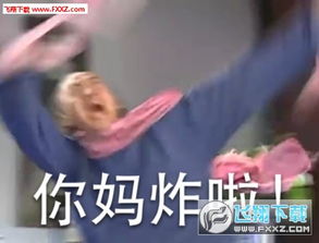 洞主表情包你妈