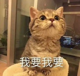  90女星都离不开医美11元初体验竟然效果惊人