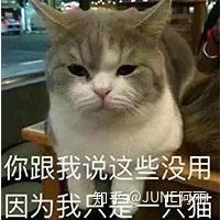 委屈猫猫头表情包