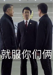  继达康书记后,陈海局长行走的表情包也火了