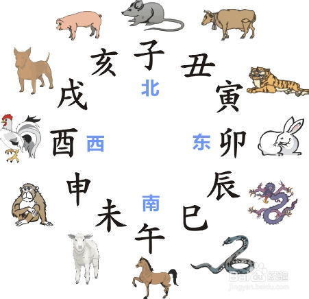  如何看你的属相流年风水