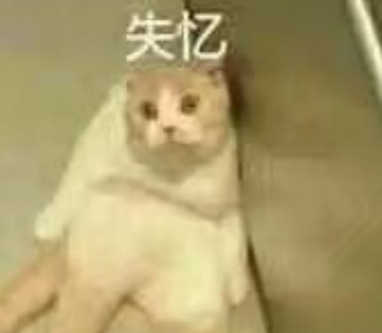  听说将会有一群skr的私密力量入驻衡师