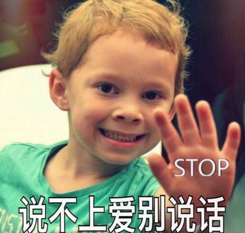  有哪些改编自歌词的表情包