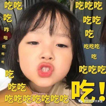  2017的八大表情包萌娃,你最喜欢哪一个