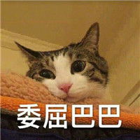  最新版委屈脸委屈巴巴猫表情包可爱猫委屈巴巴表情包