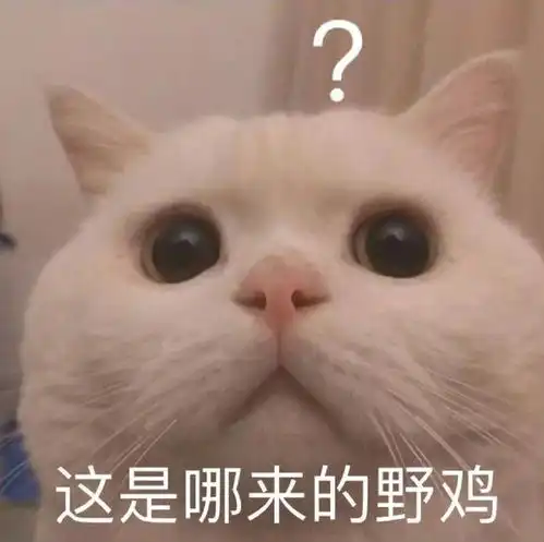 八嘎的表情包沙雕