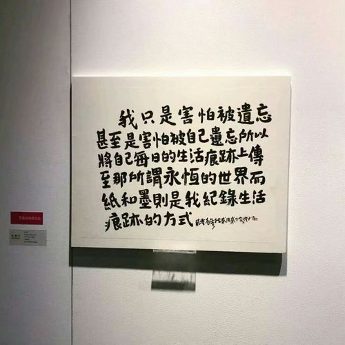  想收集木苏里笔下的惊鸿句子