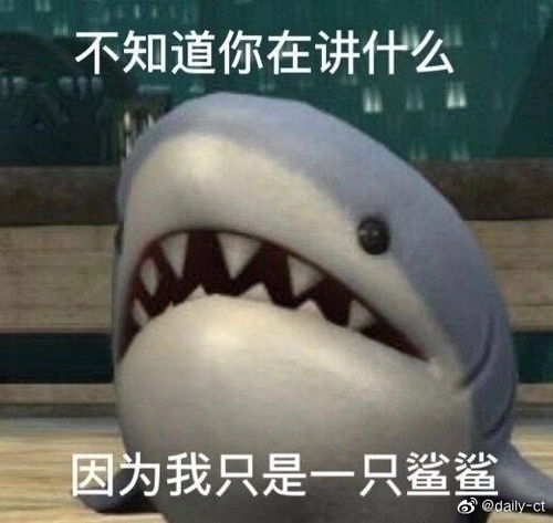  大开鲨戒