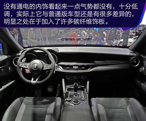  抢先实拍阿尔法罗密欧stelvio四叶草版纽北最速suv来袭