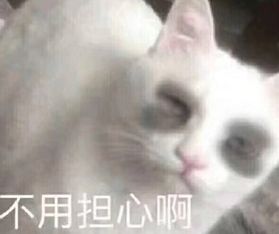  我们女人想要什么就必须搞到手表情包图片大全
