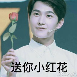 杨洋表情包搞笑
